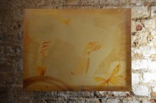 https://www.disstemma.com/files/gimgs/th-24_Alex_small_yellow.jpg