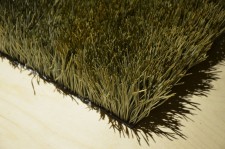 https://www.disstemma.com/files/gimgs/th-24_grass-close.jpg