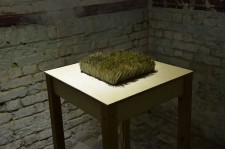 https://www.disstemma.com/files/gimgs/th-24_grass_medium.jpg