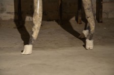https://www.disstemma.com/files/gimgs/th-24_linda_feet_small.jpg