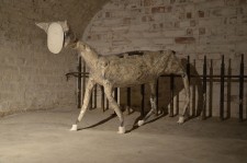 https://www.disstemma.com/files/gimgs/th-24_sheep_small.jpg